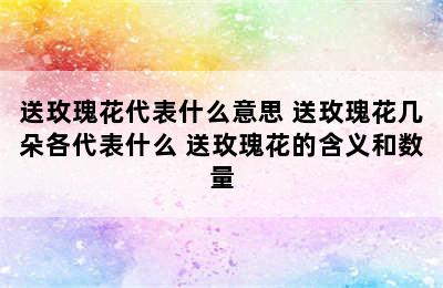 送玫瑰花代表什么意思 送玫瑰花几朵各代表什么 送玫瑰花的含义和数量